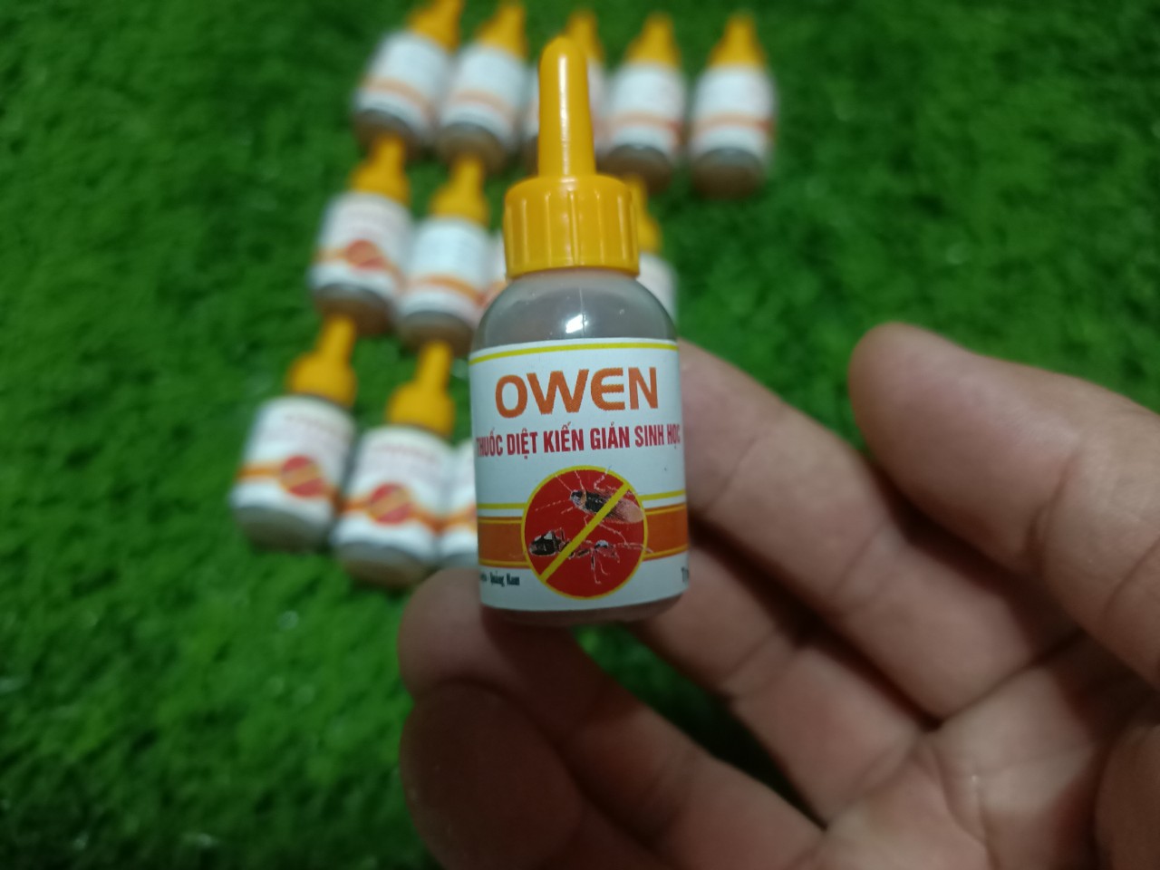10 lọ thuốc diệt kiến gián Owen