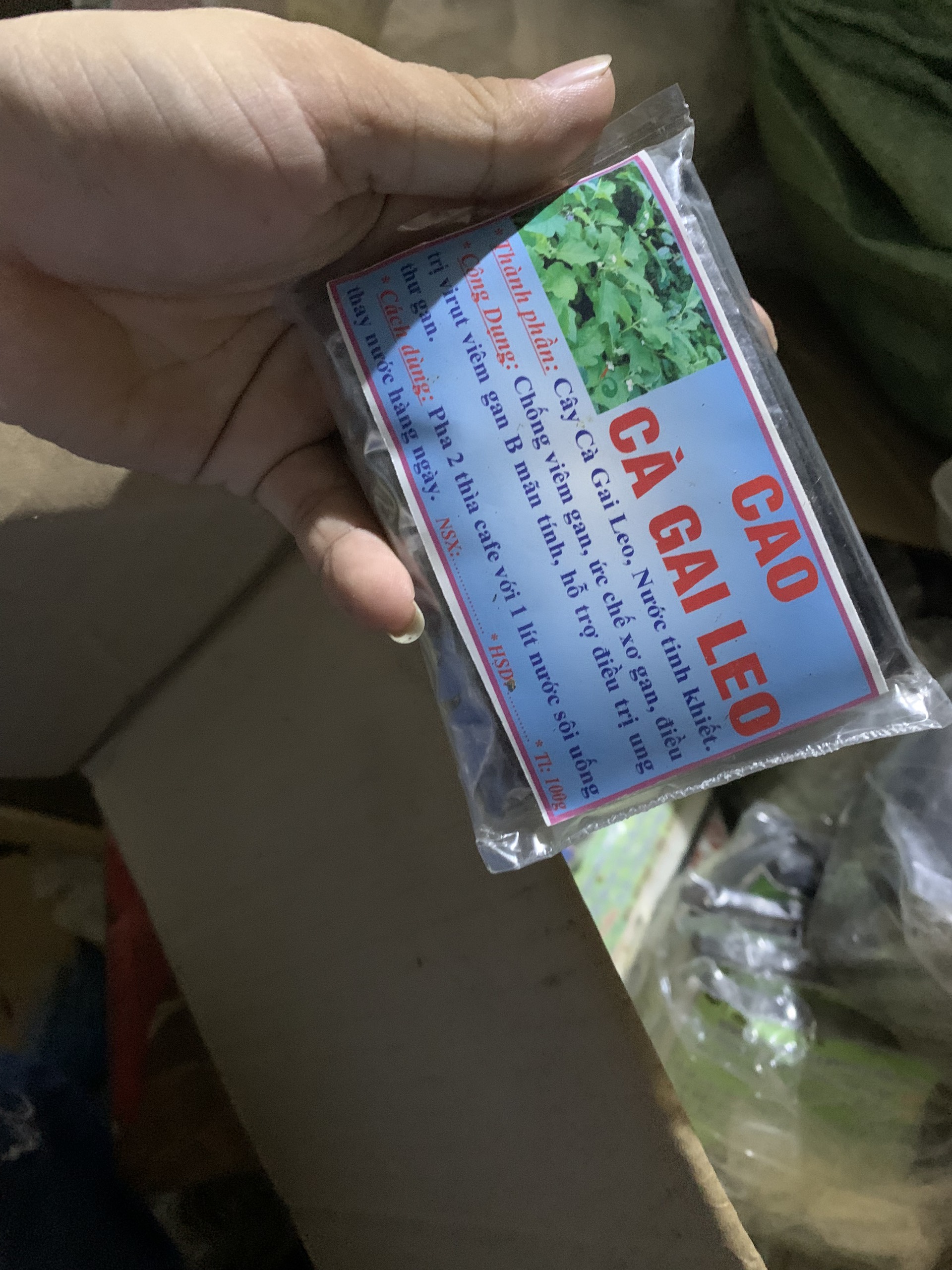 Cao cà gai leo quảng trị