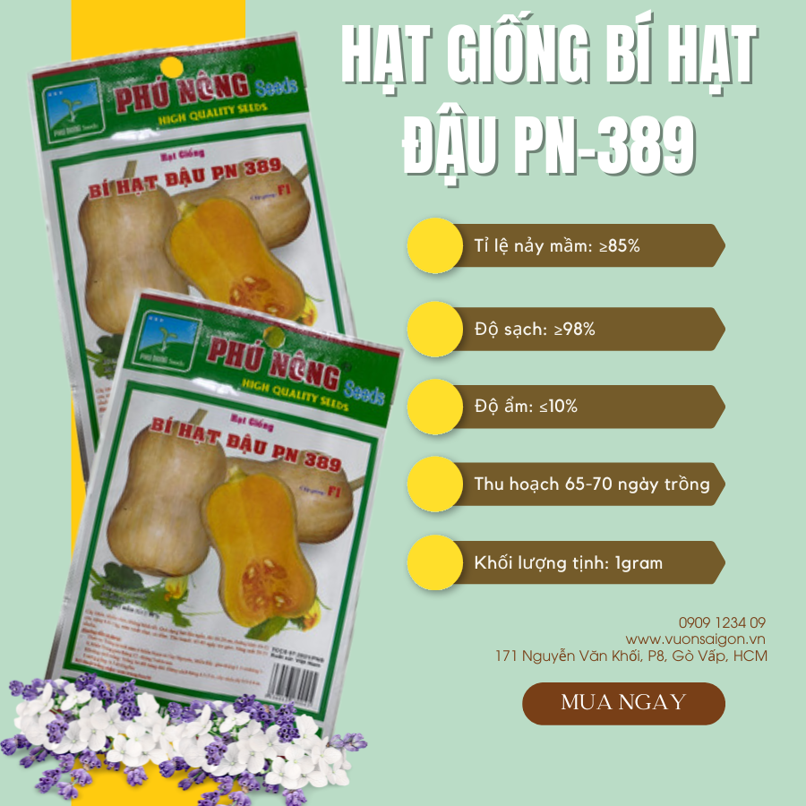 Hạt giống Bí Hạt Đậu F1 PN-389 - hạt giống chắc khỏe tỉ lệ nẩy mầm 98% (Vườn Sài Gòn - Vuon Sai Gon)