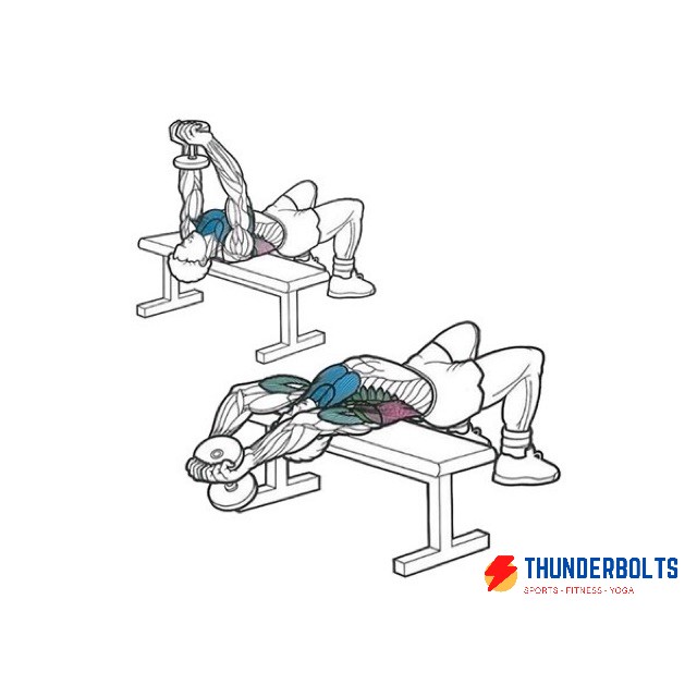 [HCM]Ghế Vớt Tạ Xuki