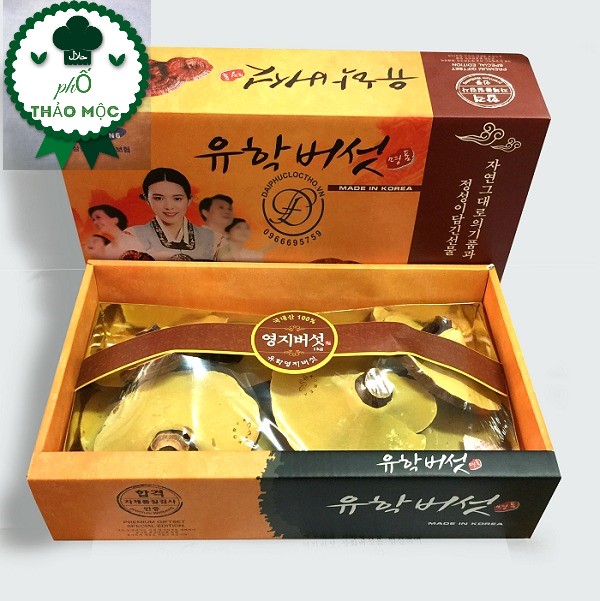 Nấm linh chi vàng hàn quốc hộp 1kg