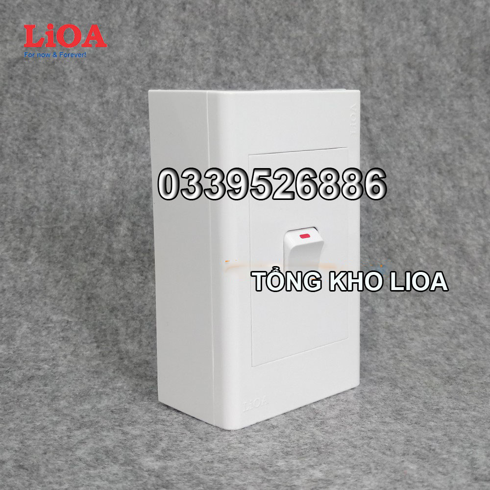 Combo 1 công tắc điện 1 chiều + mặt lỗ vuông LiOA - Lắp nổi