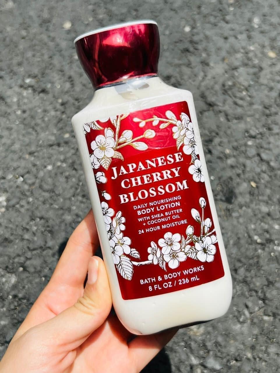 Dưỡng thể Bath & Body Work Japanese Cherry Blossom 8oz