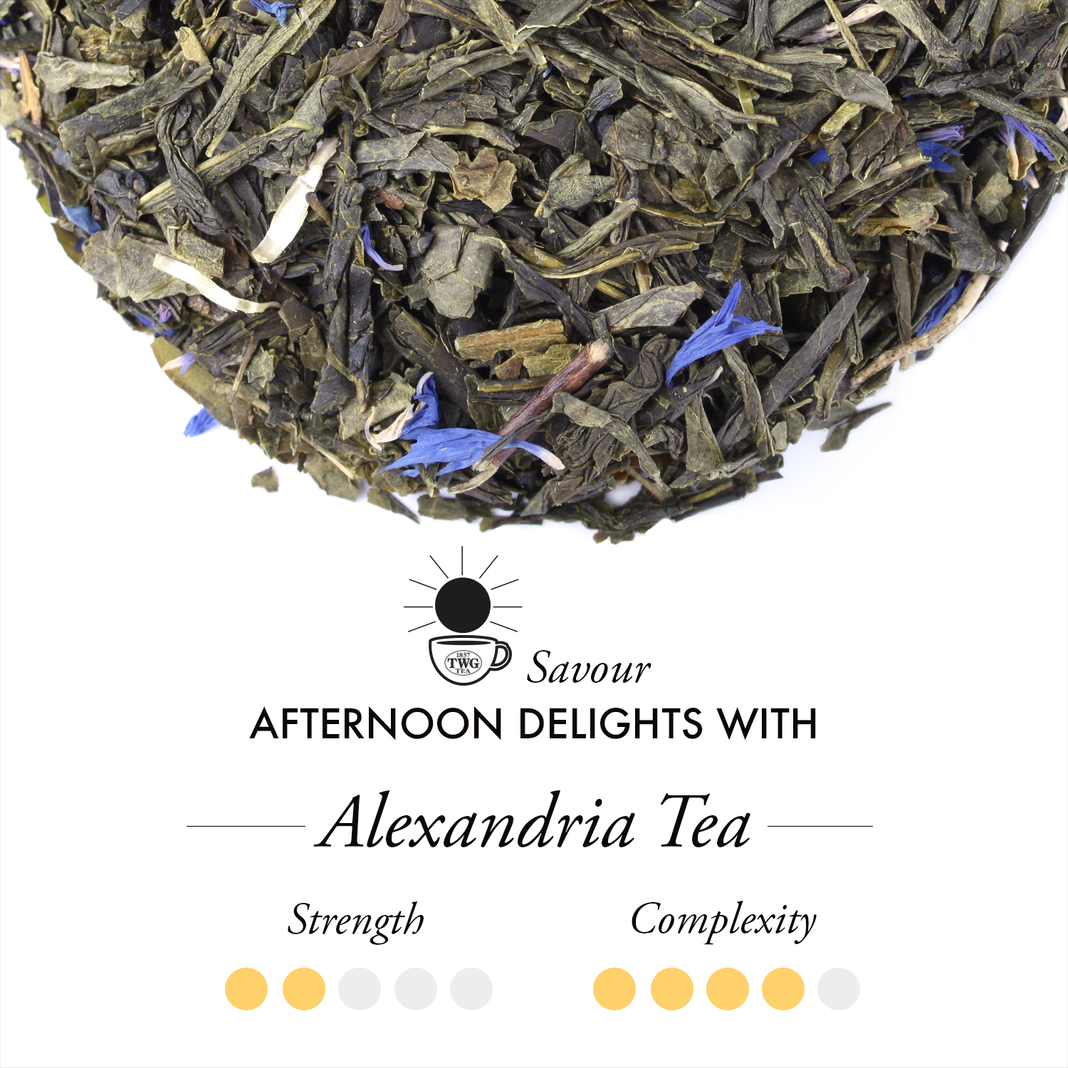 TWG Tea - Alexandria Tea (100g) | Green Tea
