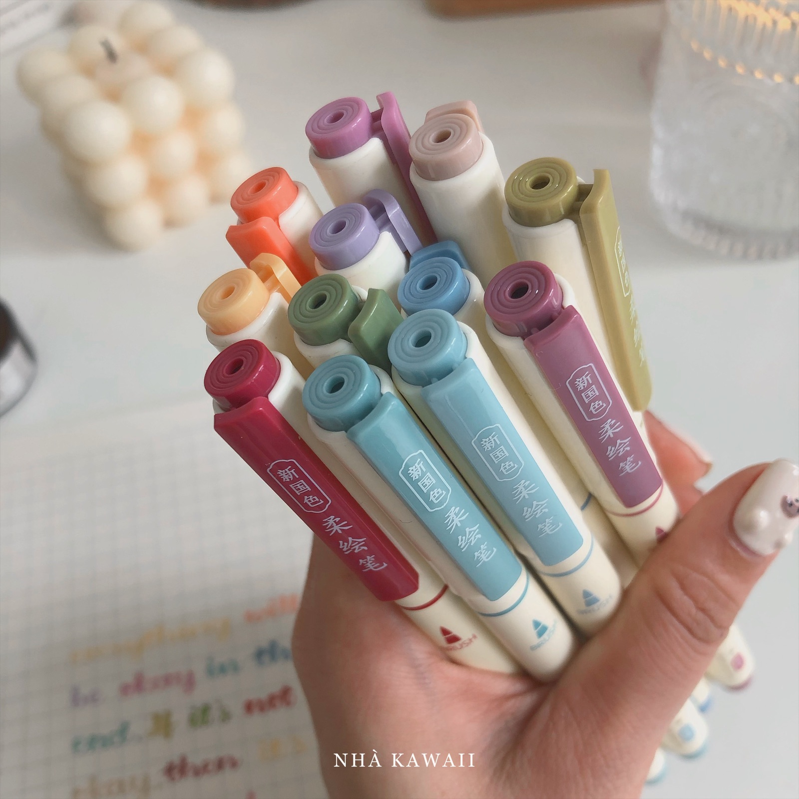 Bút viết calligraphy DS Soft Brush Sign Pen (mẫu mới)