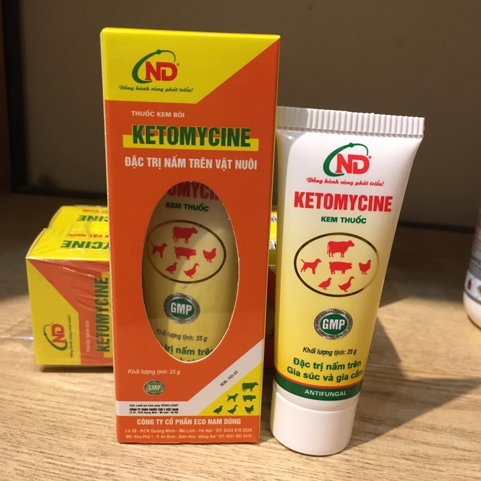 Kem Bôi Đặc Trị Nấm Trên Chó Mèo Gia Súc Và Gia Cầm Ketomycine Tuýp 25g