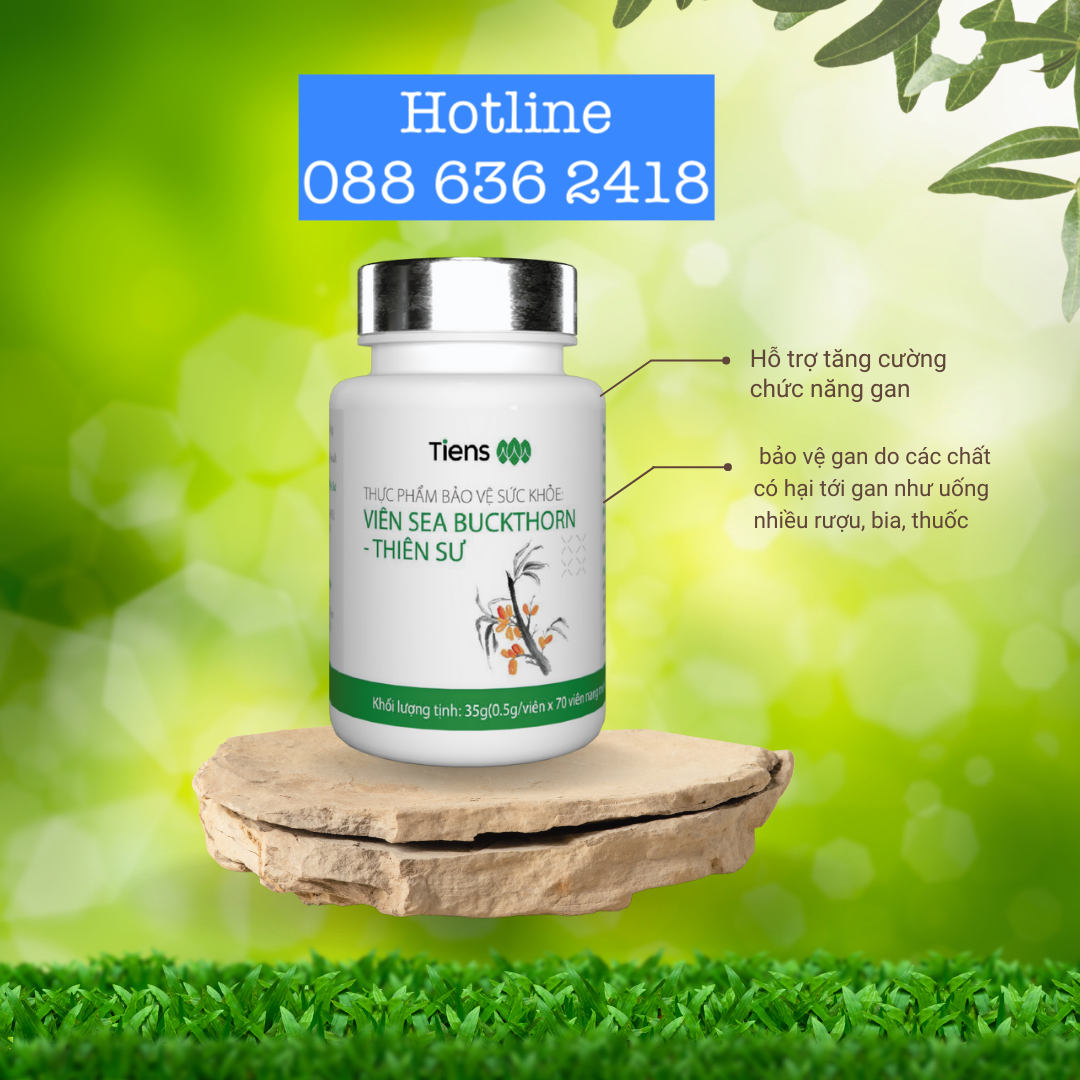 Viên hắc mai biển Thiên Sư