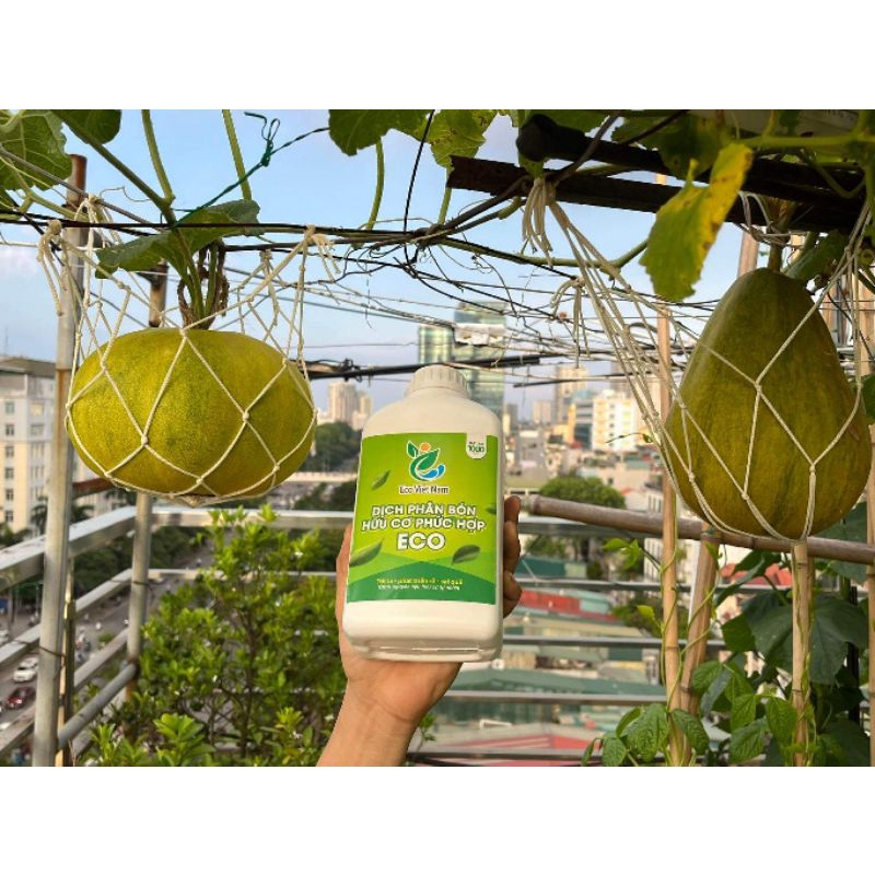 Dịch Phân Bón Hữu Cơ Eco Việt Nam. Dịch Trùn Quế..