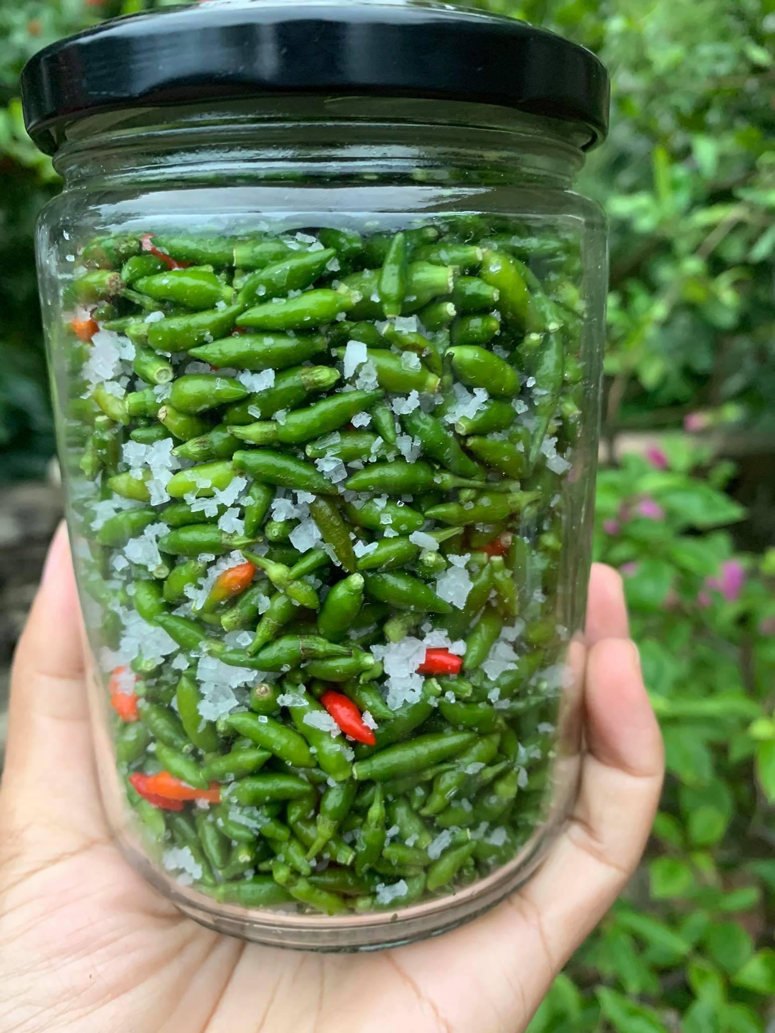 Ớt gió xóc muối cao nguyên đá Hà Giang để ăn quanh năm vẫn cay thơm giòn, hũ 250gram