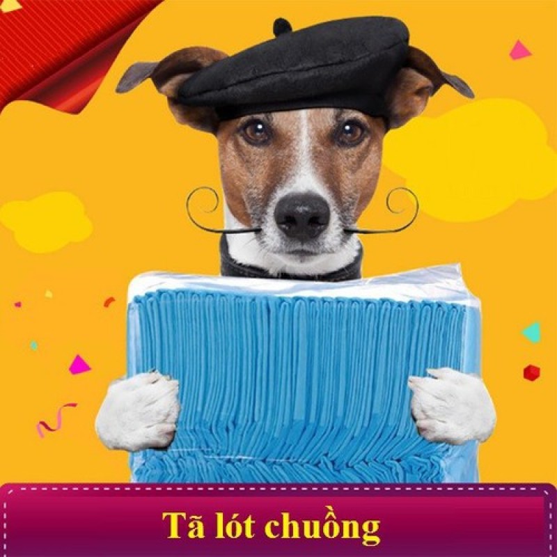 ( lẻ 10 Miếng) Tã lót chuồng siêu thấm - Tã lót khay vệ sinh cho Chó, Mèo, Thú Cưng đi đúng chỗ- Tấm lót sàn xe vệ sinh - Chăm sóc Thú Cưng