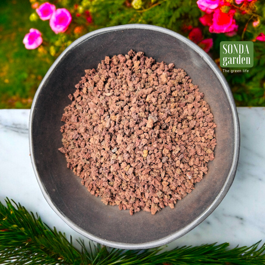 ĐÁ NHAM THẠCH ĐỎ (1kg) SIÊU PHẨM CHO SEN ĐÁ