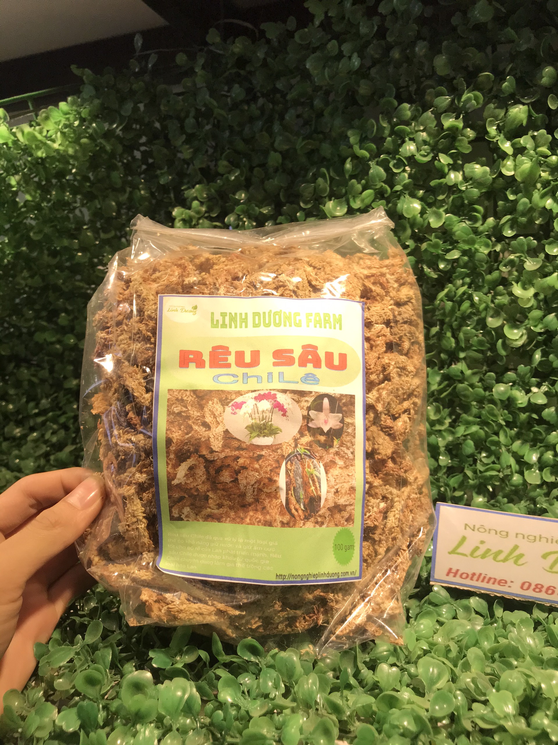 Rêu sâu chile gói 100g