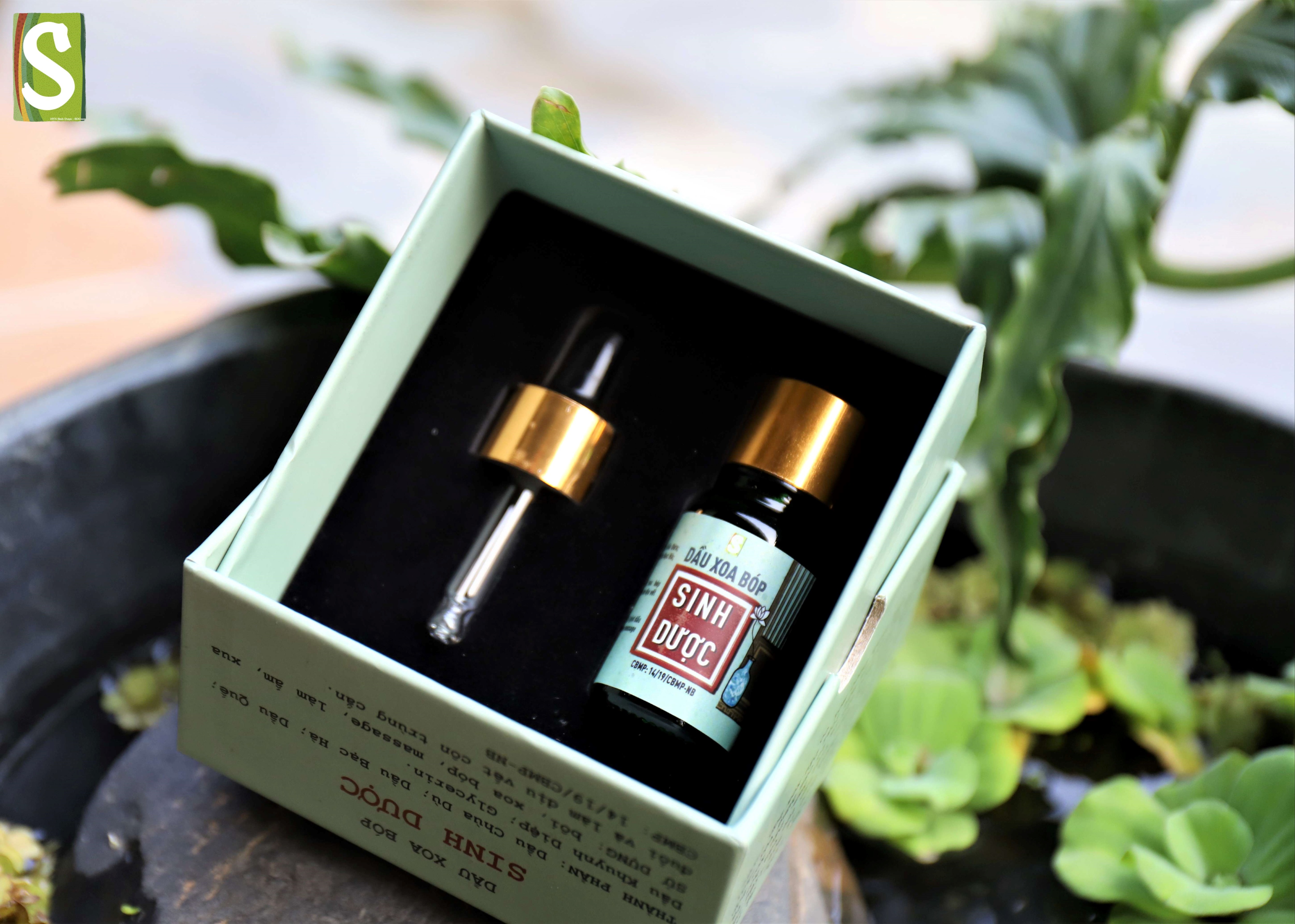 Dầu xoa bóp 10ml Sinh Dược