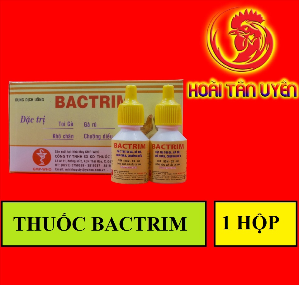 GÀ RÙ, GÀ TOI MINH HUY 1 hộp 10 LỌ/ 10 ML