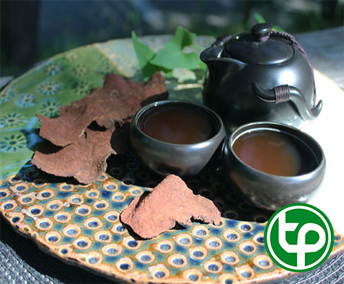 Củ hà thù ô đã sơ chế sấy khô 500g - Thảo Dược Tấn Phát
