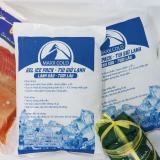 Bộ combo 6 túi đá Gel Maxx Cold loại 500g