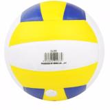 Bóng Chuyền Động Lực DL 200