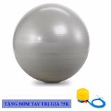 Bóng tập thể dụcyoga da trơn 75cm gymball cao cấp + Tặng bơm tay