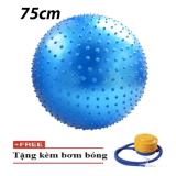 Bóng tập Yoga có gai 75cm