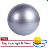 Bóng tập yoga+ kèm bộ dụng cụ bơm hơi tps trơn 65cm