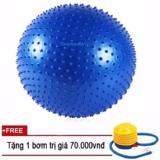 Bóng tập Yoga+ Kèm bộ dụng cụ bơm hơiTPS  Gai 65CM (Xanh dương)