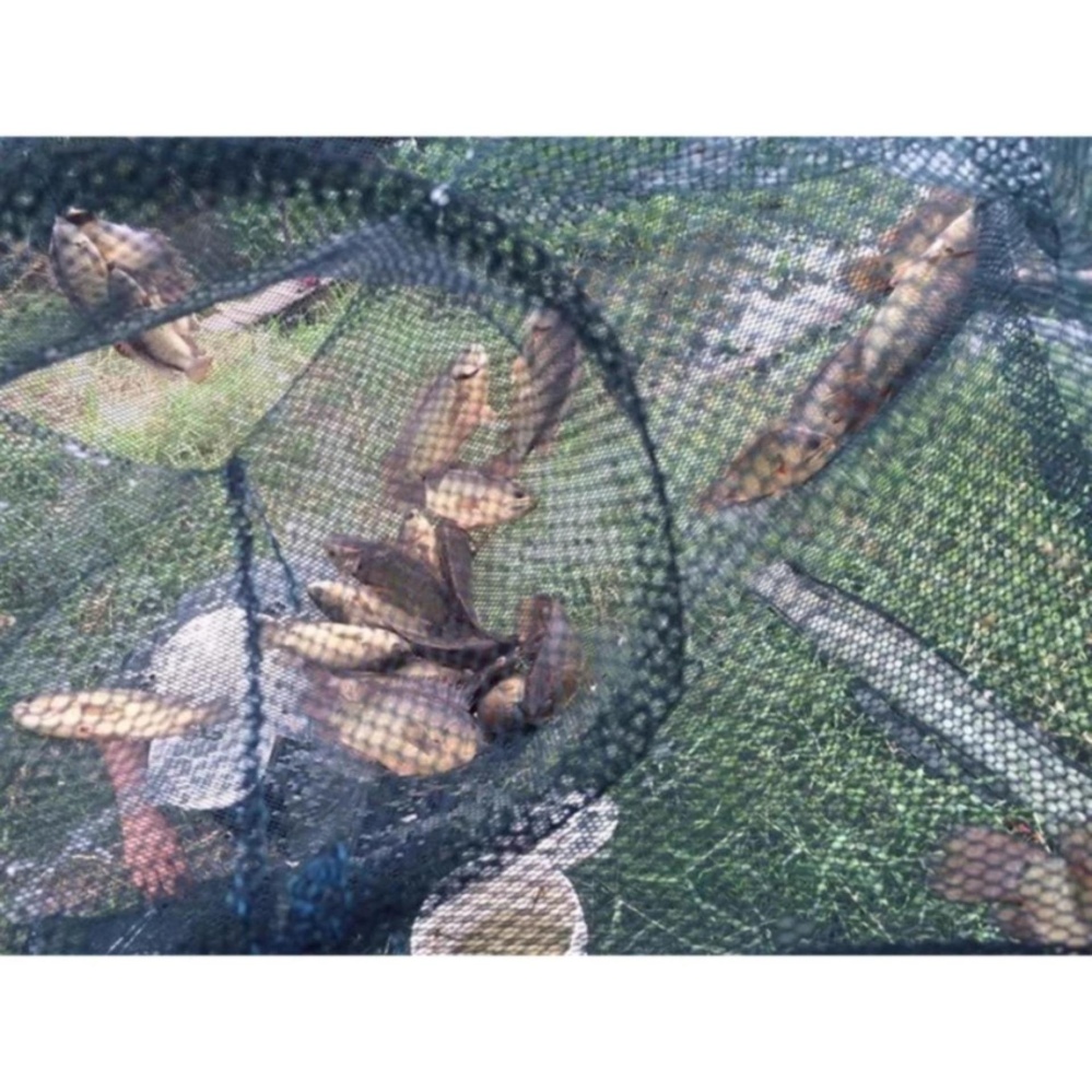 Combo 2 lồng đánh bắt cá bát quái 8 cửa ma thuật -(*Đồ Câu Biển Xanh)