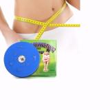Đĩa xoay eo giảm cân 360 độ cao cấp (Xanh)