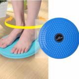 Đĩa xoay eo giảm cân 360 độ cho vòng eo con kiến + [TẶNG THƯỚC DÂY DÀI 1.5M] Tmark