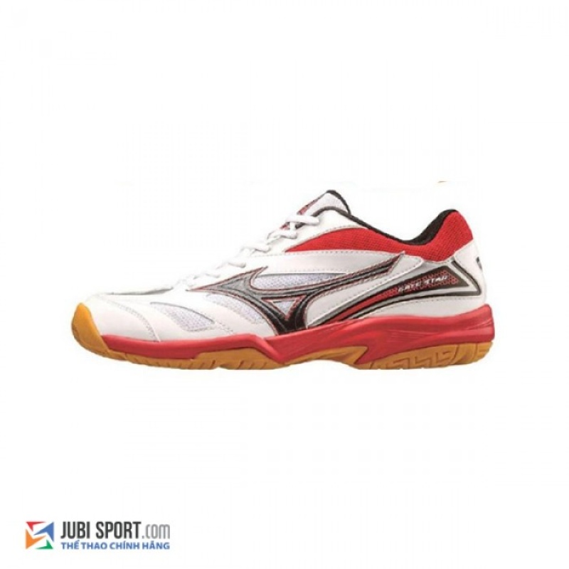 Giày cầu lông Mizuno Gate Sky 4009