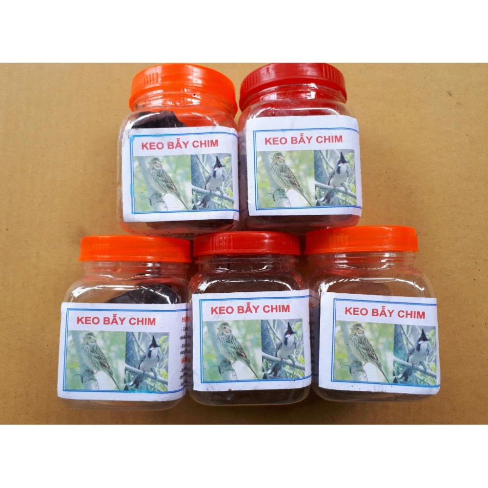 Keo bẫy chim - combo 5 lọ