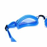 Kính bơi Phoenix PN203 Hàn Quốc - Xanh
