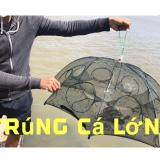 Lưới bắt cá - Lồng bát quái 8 lỗ bắt cá (tặng kèm mồi)