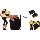  Quần thể dục sinh nhiệt giảm mỡ bụng đùi + Tặng Đai quấn nịt bụng eo thon size M