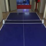 Table Tennis Net Rack Replacement Ping Pong Net - Intl