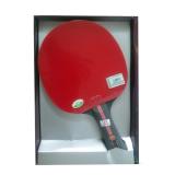 Vợt bóng bàn 2 Star 729