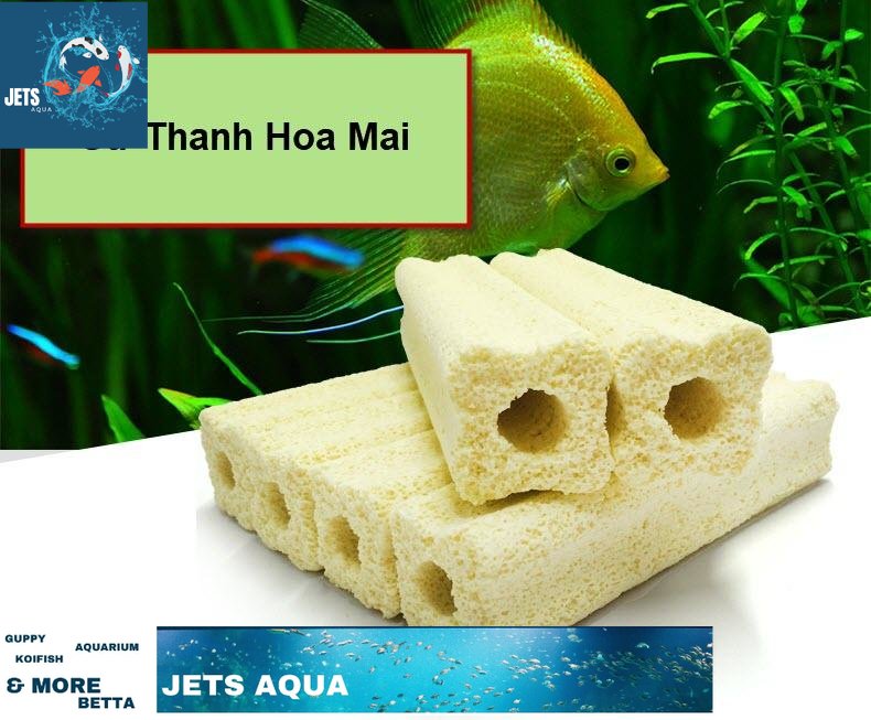 Sứ thanh hoa mai kích thước: 164cm -vật liệu lọc nước