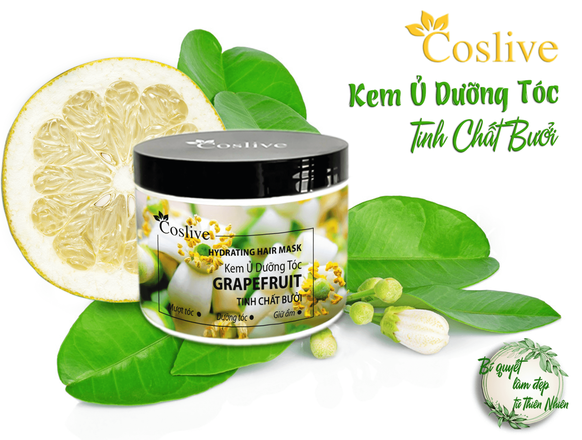 KEM Ủ DƯỠNG TÓC BƯỞI COSLIVE 500G