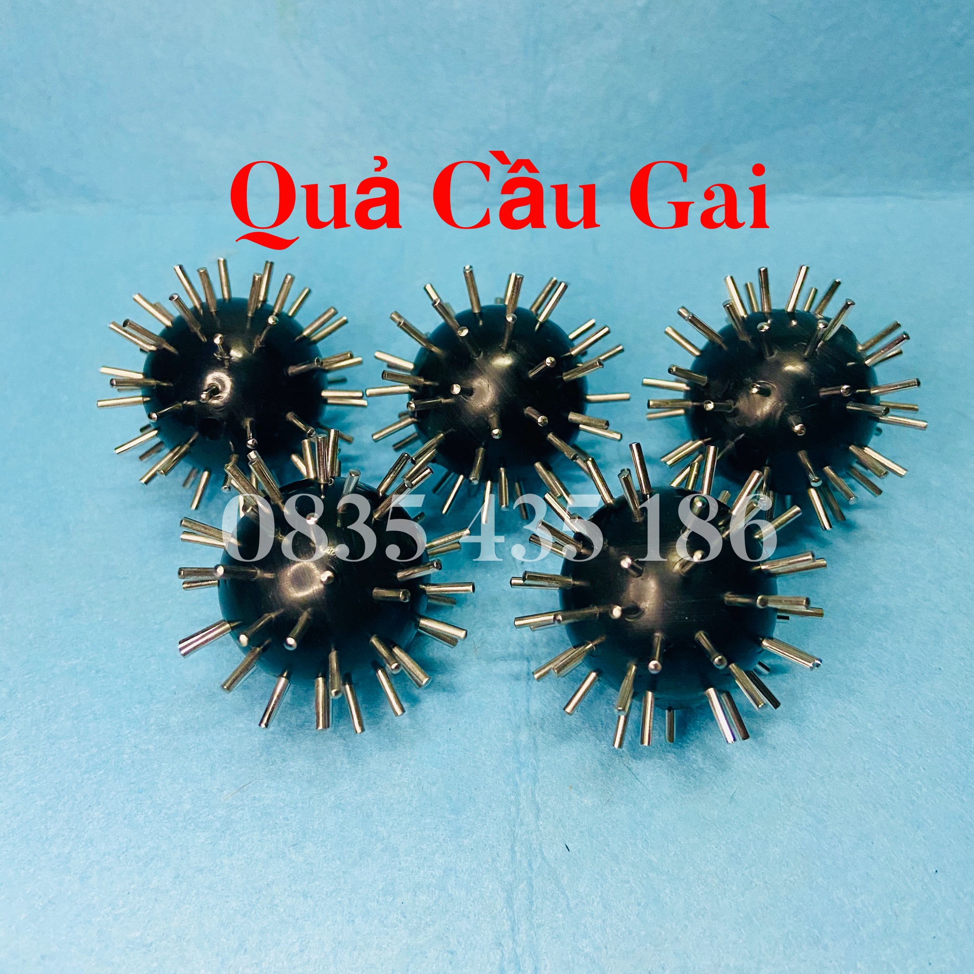 [HCM]Quả Cầu Đinh Diện Chẩn