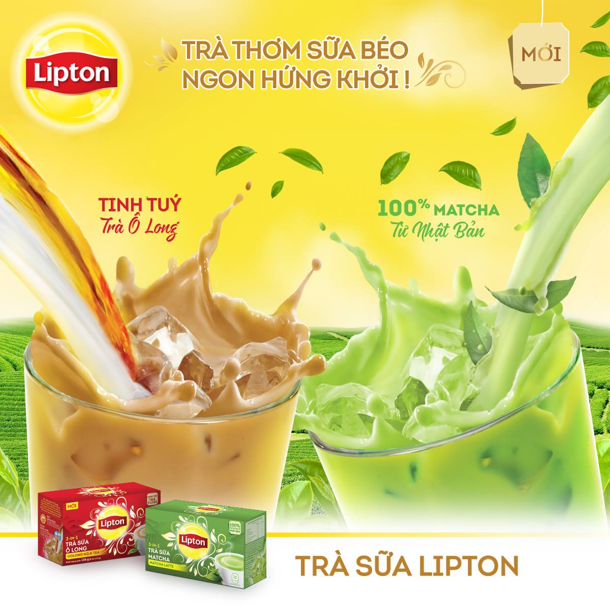 Hộp 8 Gói Trà Sữa Lipton - Vị Matcha 17g/gói