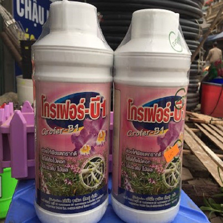 Phân bón kích rễ grofer B1 1 lít (Thái Lan)