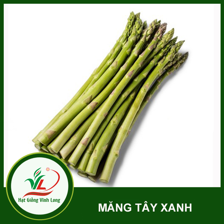 Hạt giống Măng tây xanh RD 636 - 0,2g