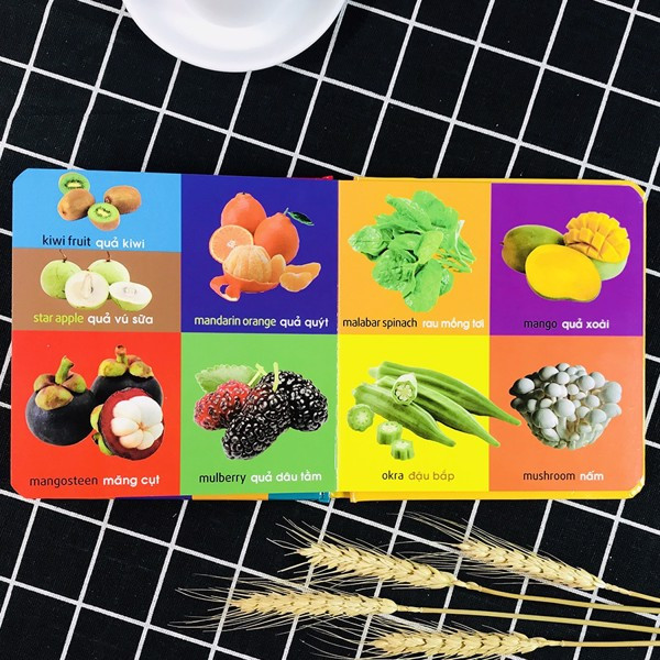 Sách: 101 First Words - Plants /101 Từ Đầu Tiên - Thực Vật ( TB )