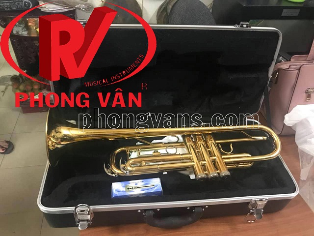 Kèn trumpet Victoria màu vàng