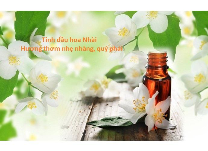 Tinh dầu hoa nhài cao cấp lọ 10ml