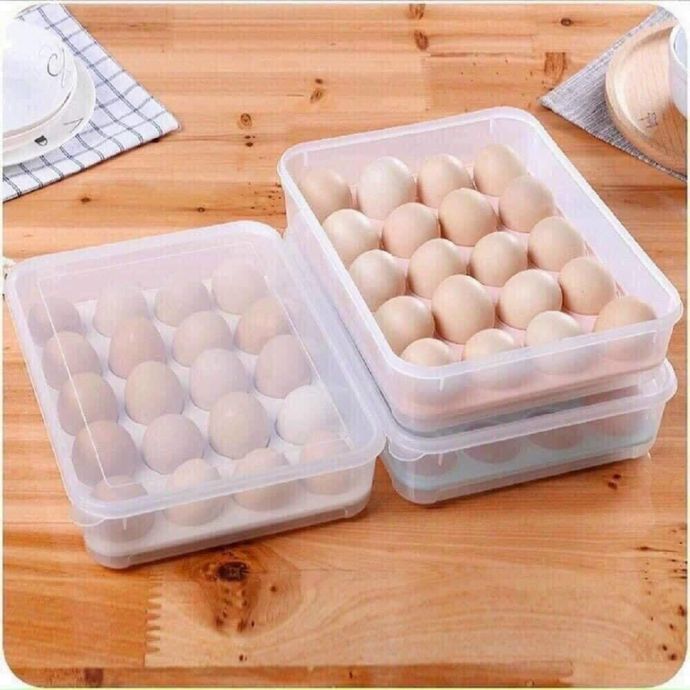 HỘP ĐỰNG TRỨNG 24 QUẢ