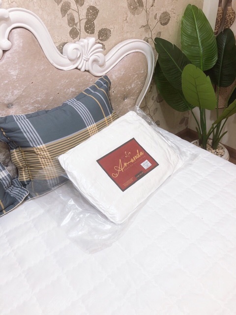 Ruột Chăn Hè Amanda Lông Vũ Bông Tấm 2Mx2M3