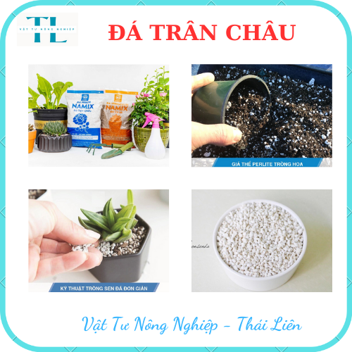 Đá perlite (100g) - Đá trân châu giàu khoáng chất