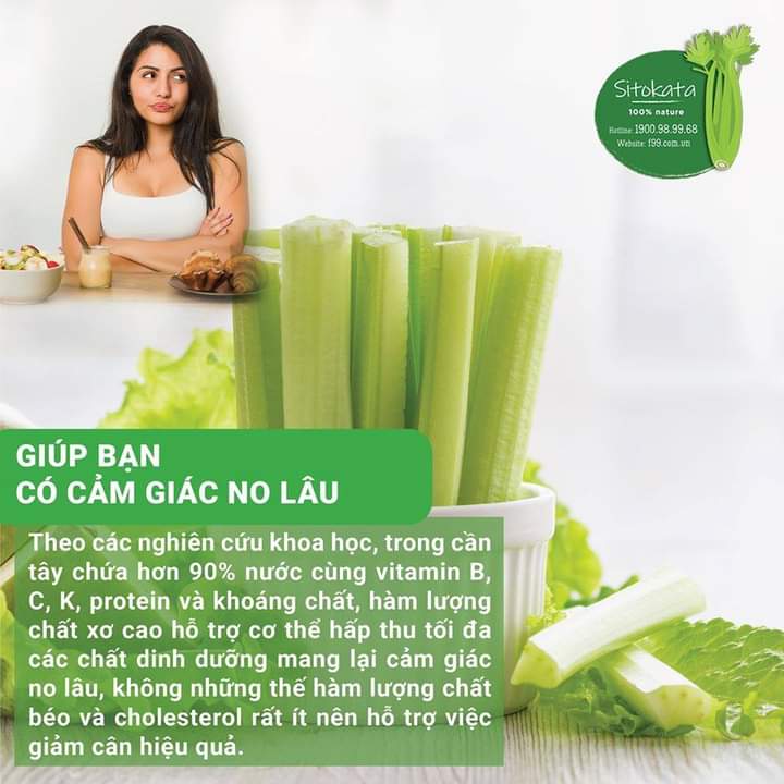 COMBO 2 Hộp Cần Tây SITOKATA - Giảm Cân - Đẹp Da  ( Tặng Kèm chai + Cẩm nang giảm cân )