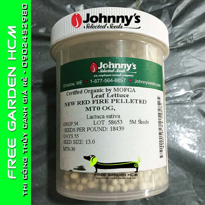Combo 1000 hạt giống xà lách bọc men new red fire – johnny’s seed – mỹ