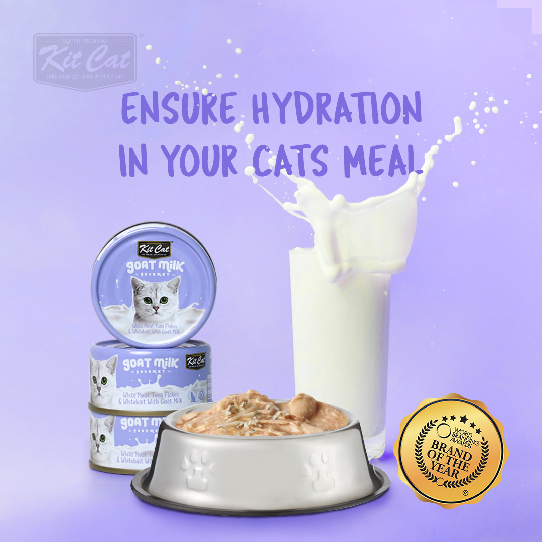 Kitcat Goat Milk Wet Cat Food - Special Flavor from Goat Milk - Nutritious Food for Cats - Delicious Flavor - Convenient Packaging - Suitable for Adult Cats